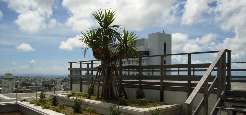 金城グリーン　会社概要