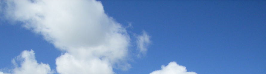 金城グリーン　求人情報