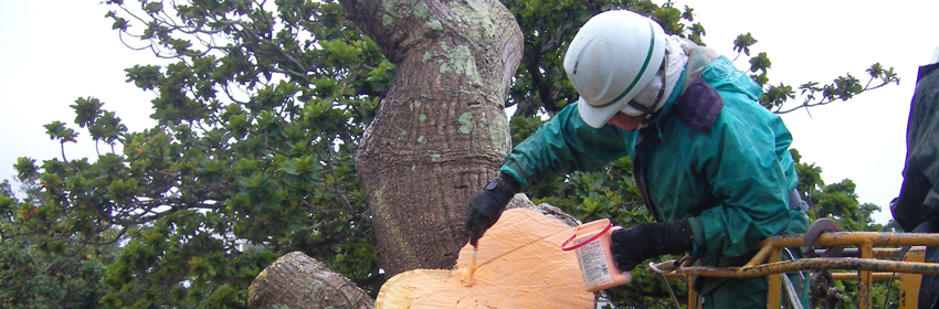 金城グリーン　営業種目